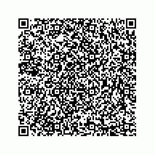 vCard 78333722281