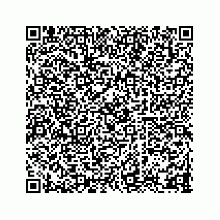 vCard 78333722289