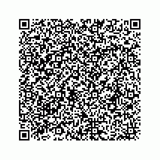 vCard 78333722369