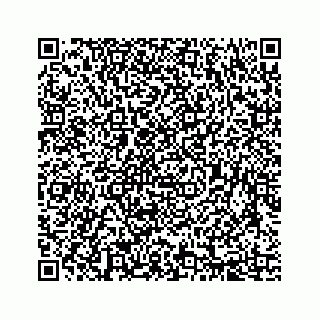 vCard 78333722479