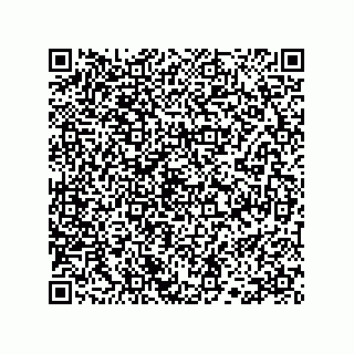 vCard 78333748713
