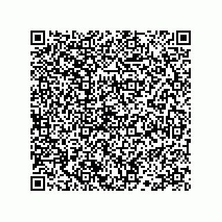 vCard 78333748726