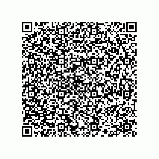 vCard 78333748731