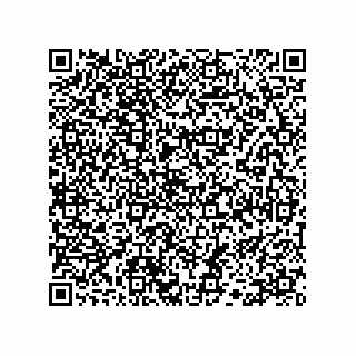 vCard 78333748736