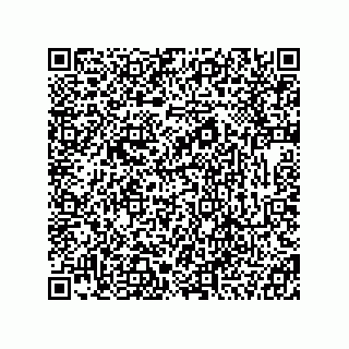 vCard 78333867313