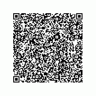 vCard 78333867316