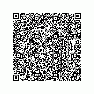 vCard 78333867321