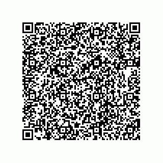 vCard 78333867409