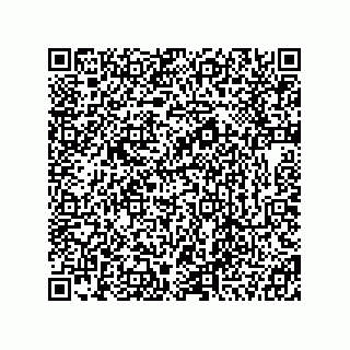 vCard 78333867571