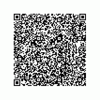 vCard 78333877377