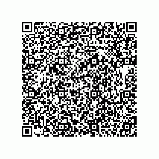 vCard 78333877489