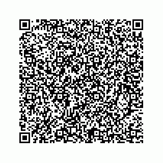 vCard 78333934665