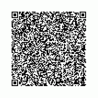 vCard 78333934689