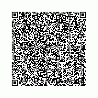 vCard 78333934720