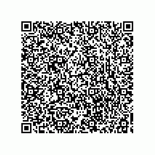 vCard 78334620131