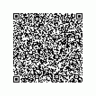 vCard 78334620287
