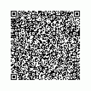 vCard 78334826304