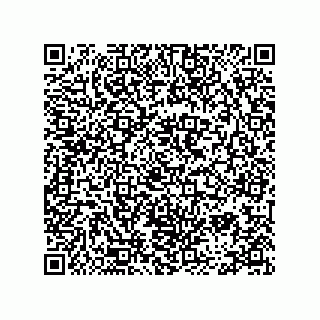 vCard 78334973313