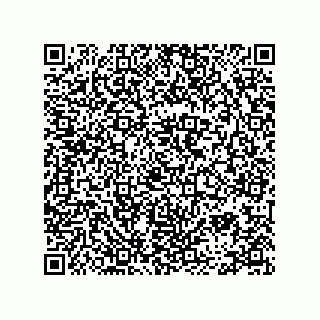 vCard 78334973317