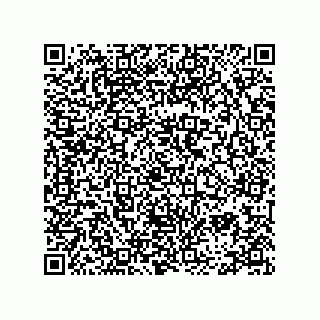 vCard 78334973319