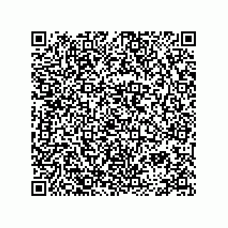 vCard 78334973321