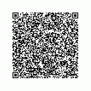 vCard 78334973387
