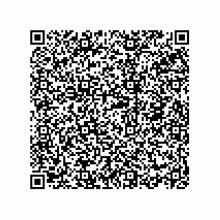 vCard 78334973409