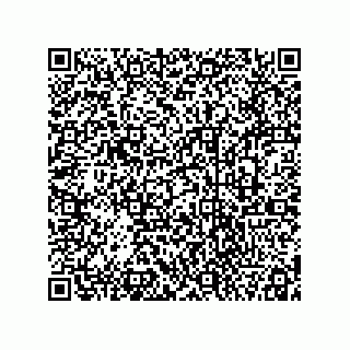 vCard 78334973411