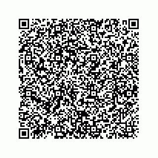 vCard 78335120001
