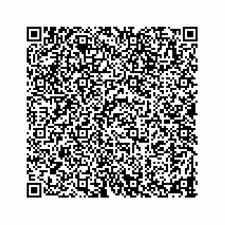 vCard 78335120002