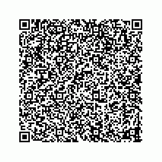 vCard 78335120080