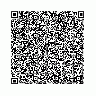 vCard 78335120138