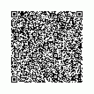 vCard 78335120297