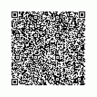 vCard 78335120300