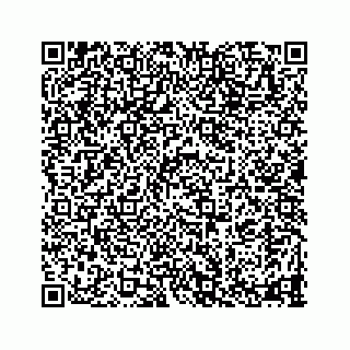 vCard 78335120303