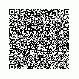 vCard 78335120304