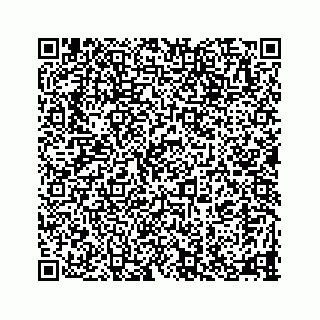 vCard 78335120310
