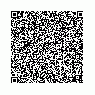 vCard 78335120317