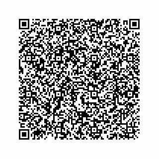 vCard 78335120331