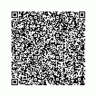 vCard 78335120379