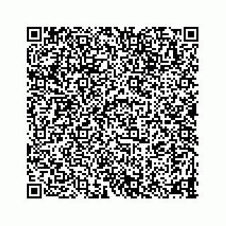 vCard 78335120380