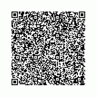vCard 78335120381