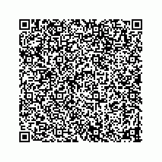 vCard 78335120383