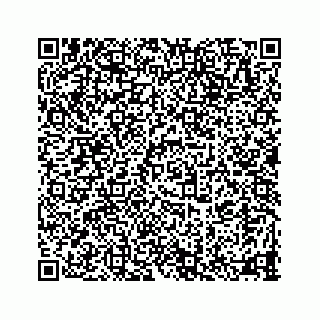 vCard 78335120384