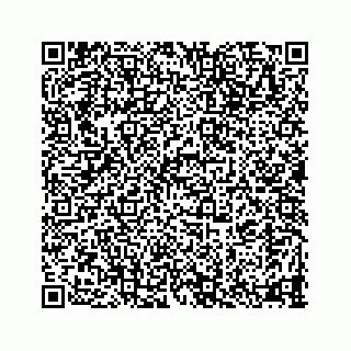 vCard 78335120385