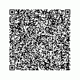 vCard 78335120387