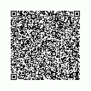 vCard 78335120389