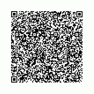 vCard 78335120390