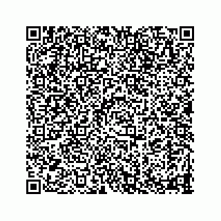 vCard 78335120399