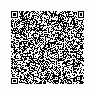 vCard 78335160400
